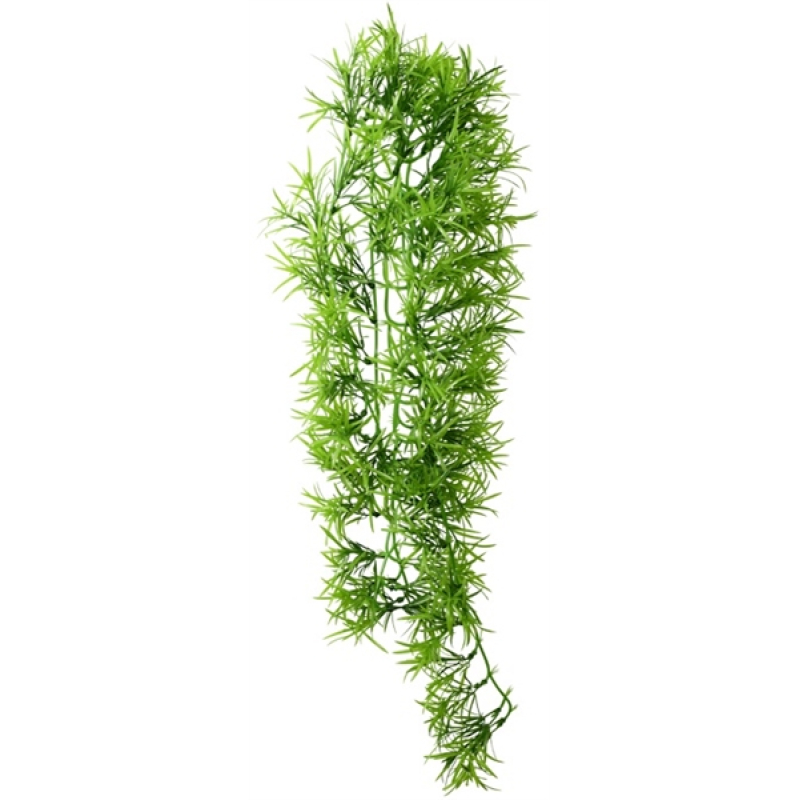 Hobby Terrano Climber Tropica Hangend 70cm